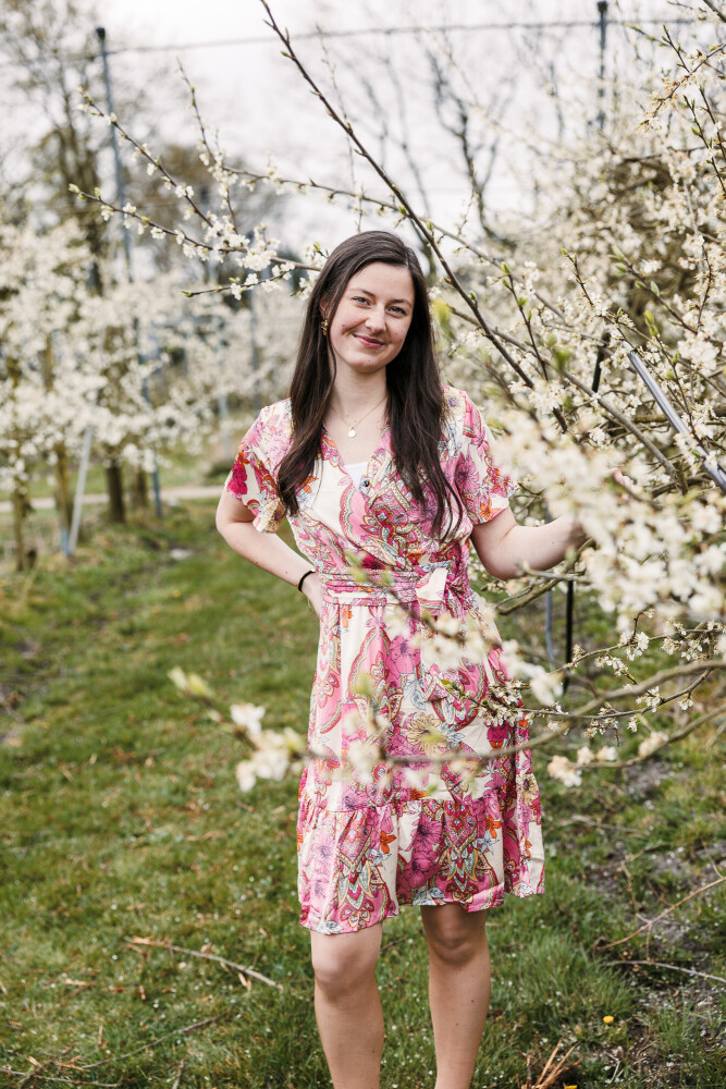 vrolijk jurkje in rozetinten 2