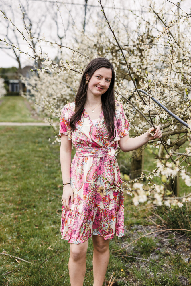 vrolijk jurkje in rozetinten