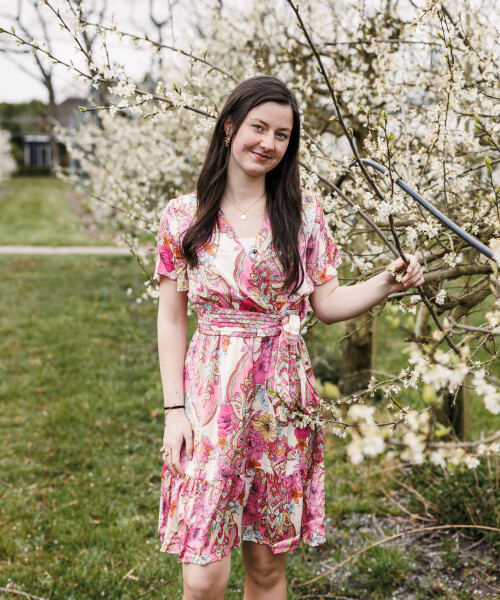 vrolijk jurkje in rozetinten